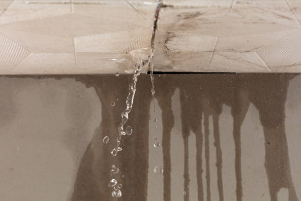 Professional Burst Pipe Cleanup technician working in Wana, WV